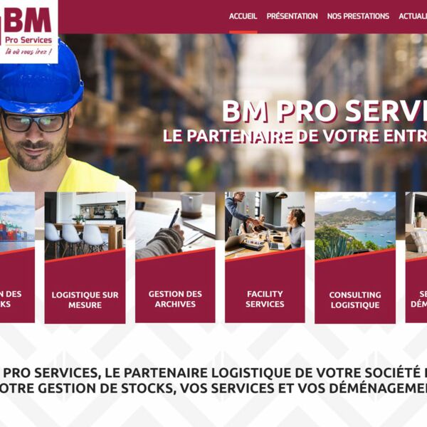BM Pro Services